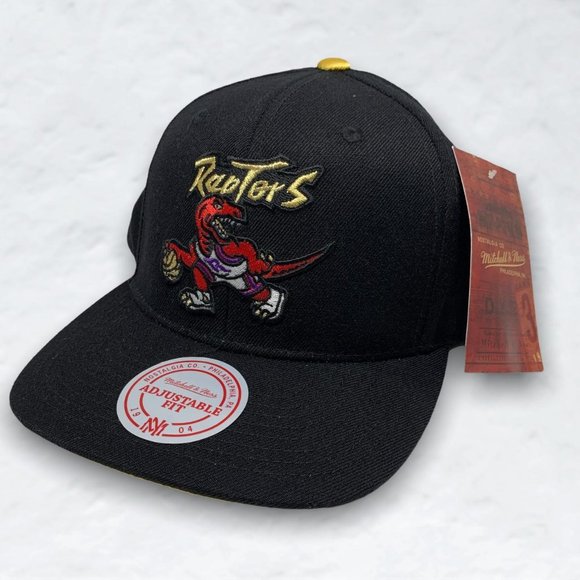 Mitchell and Ness Toronto Raptors NBA Retro Logo Snapback - Picture 1 of 3
